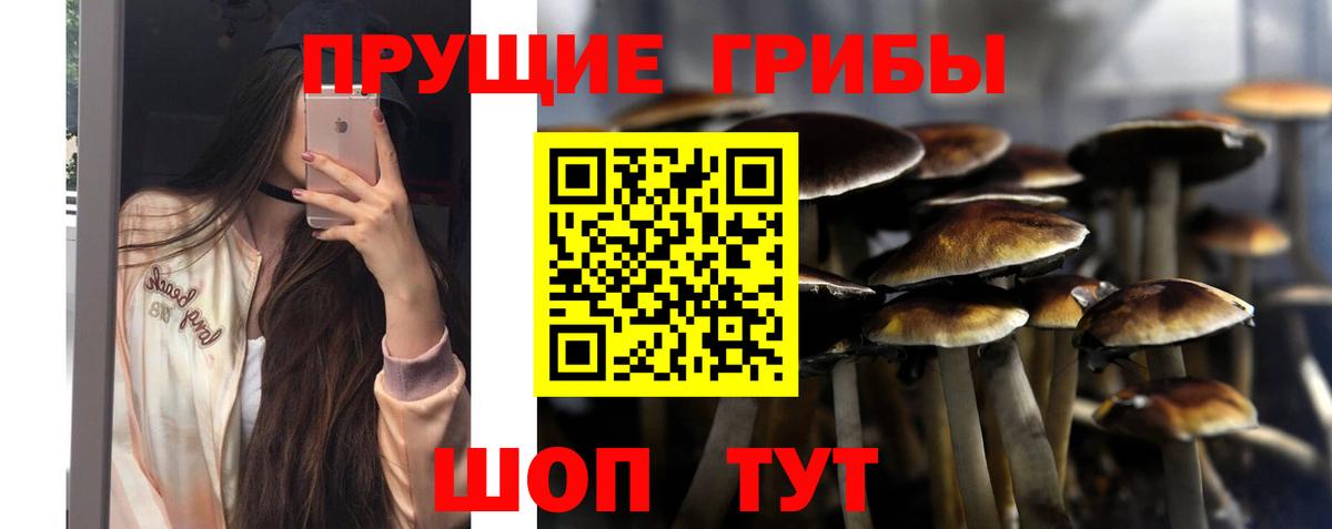 Галлюциногенные грибы GOLDEN TEACHER  Вход с VPN  Псилоцибиновые грибы прущие грибы  Феодосия 